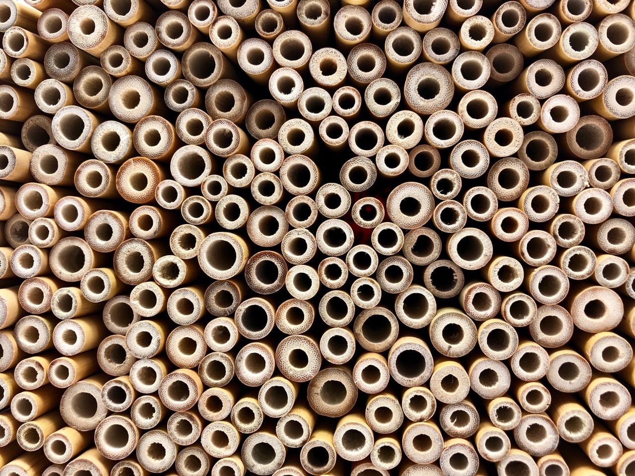 Wholesale Bamboo Straws Bulk Packs