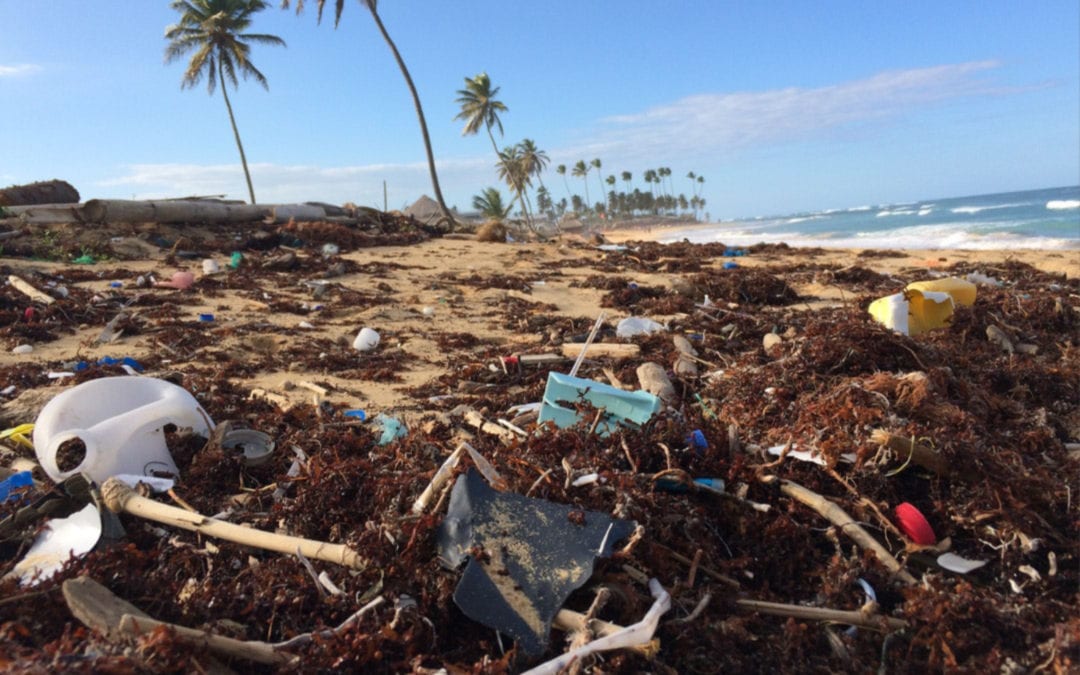 beach with plastic washed up onto it