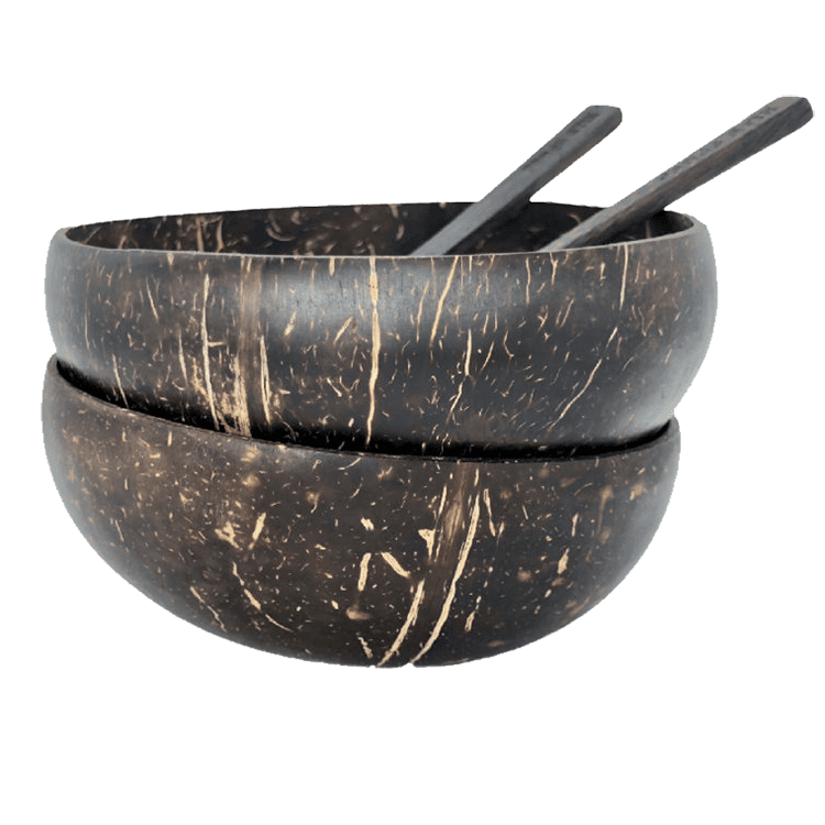 coconut shell bowls